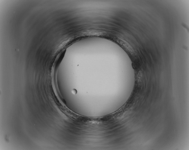 X0000097470352200803141918