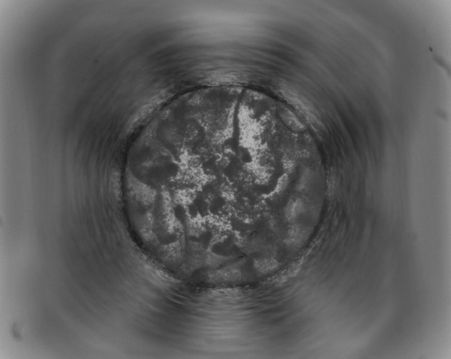 X0000097470353200803141918