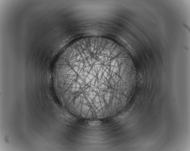 X0000097470355200803141918