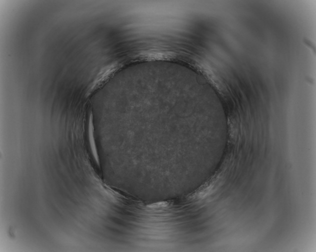 X0000097470357200803141918