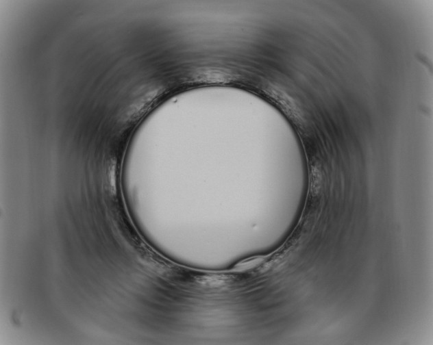 X0000097470358200803141918