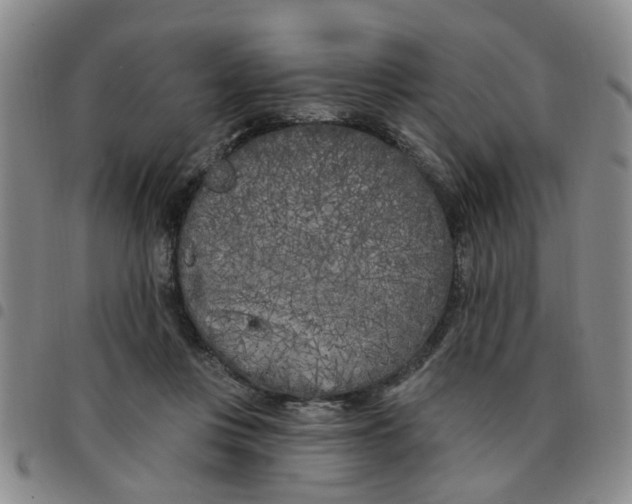 X0000097470359200803141918