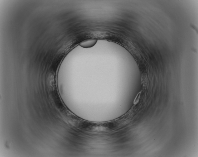 X0000097470360200803141918