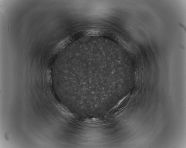X0000097470361200803141918