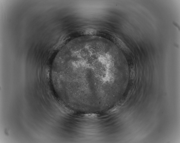 X0000097470363200803141918
