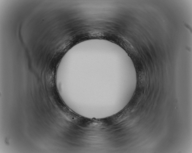 X0000097470364200803141918