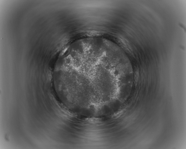 X0000097470367200803141918