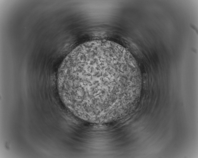 X0000097470369200803141918