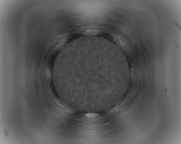 X0000097470371200803141918