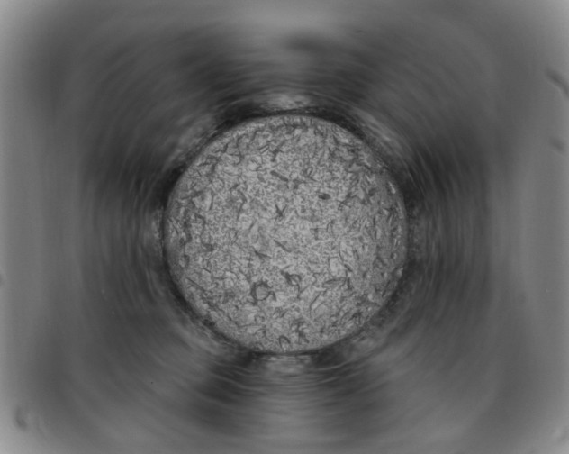 X0000097470373200803141918