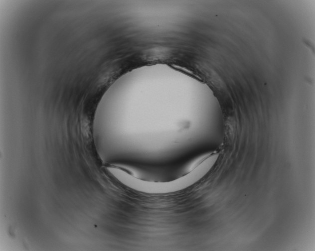 X0000097470380200803141918