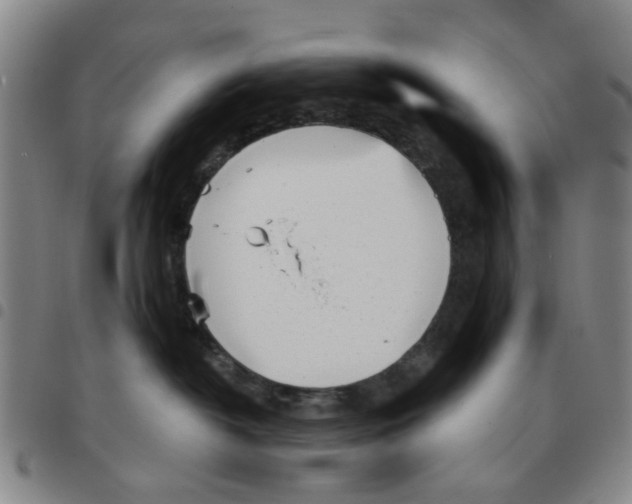 X0000097470382200803141918