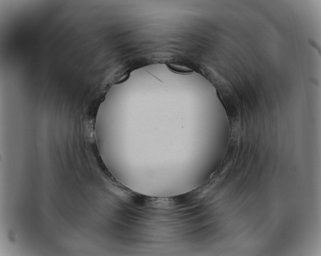 X0000097470383200803141918