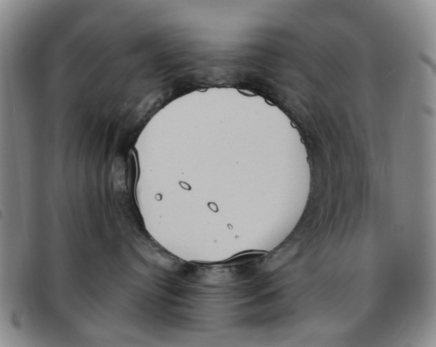 X0000097470384200803141918