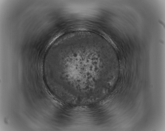 X0000097470386200803141917