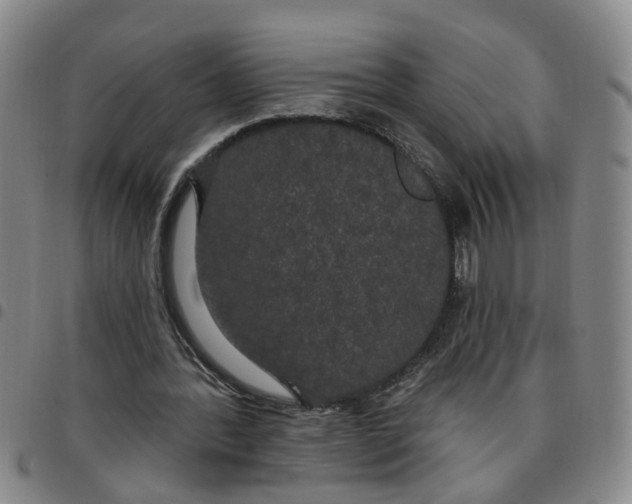 X0000097470388200803141917