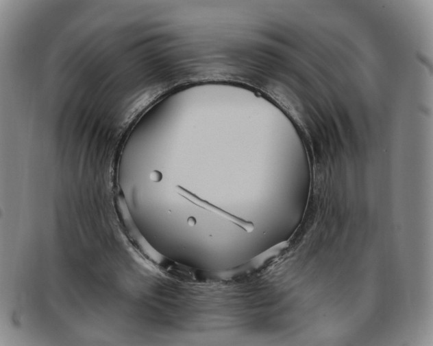 X0000097470389200803141917