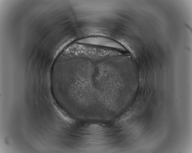 X0000097470390200803141917