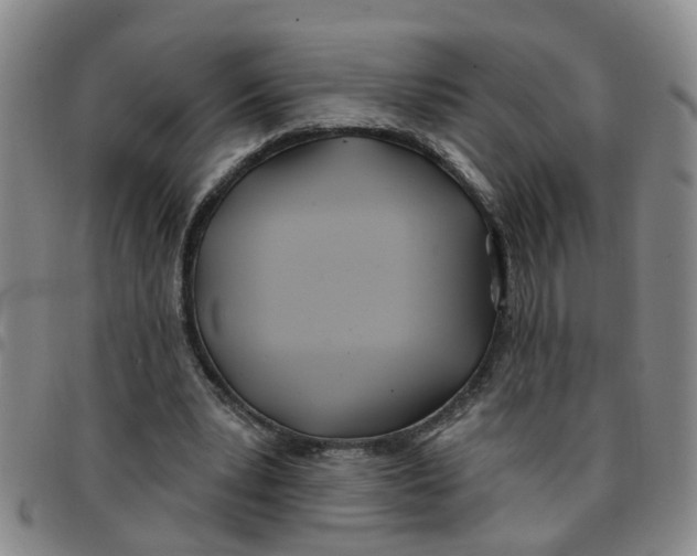 X0000097470391200803141917