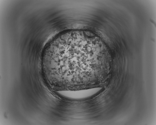 X0000097470392200803141917