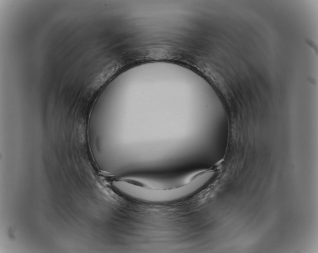 X0000097470393200803141917