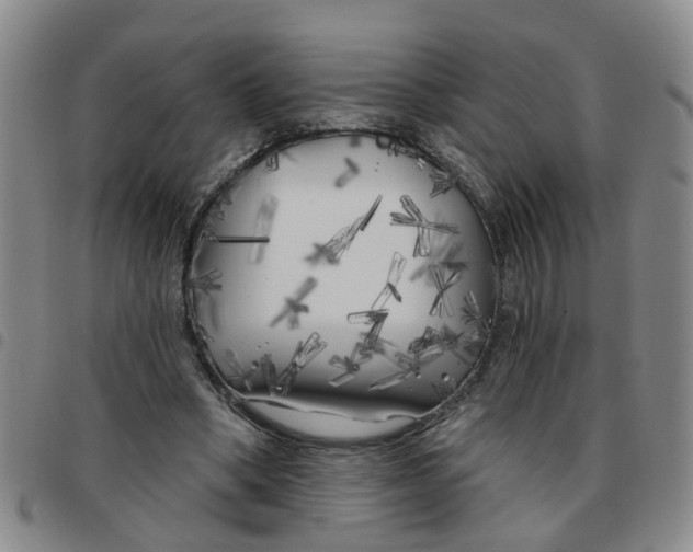 X0000097470394200803141917