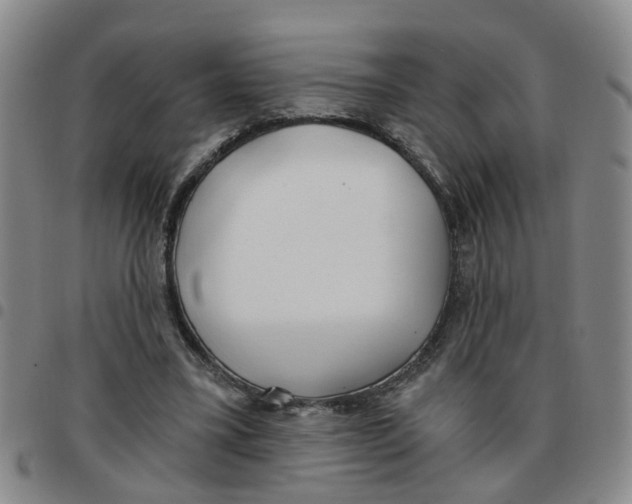 X0000097470395200803141917