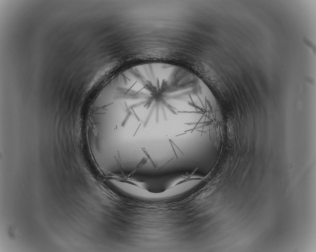 X0000097470396200803141917