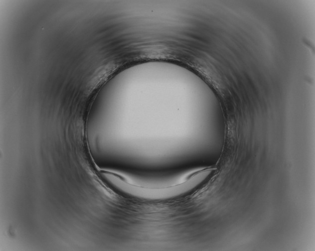 X0000097470397200803141917