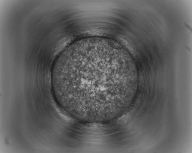 X0000097470398200803141917