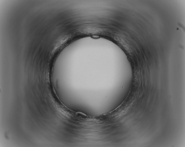X0000097470399200803141917