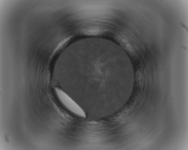 X0000097470400200803141917
