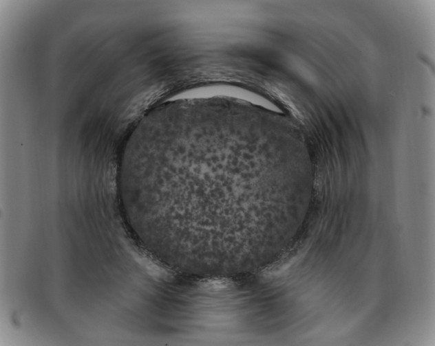 X0000097470402200803141917