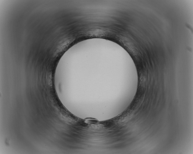 X0000097470403200803141917