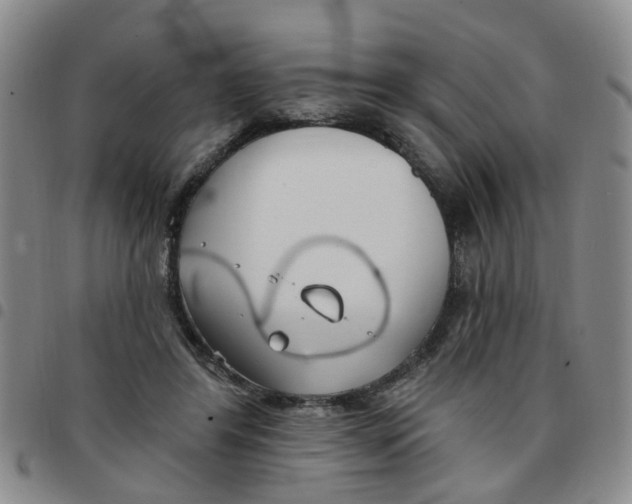X0000097470404200803141917