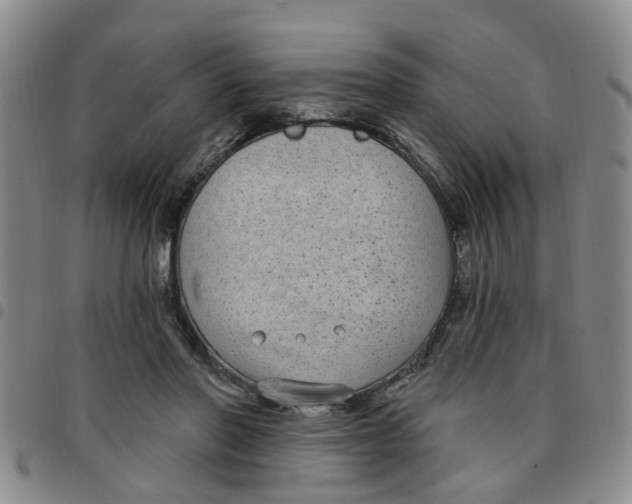 X0000097470406200803141917