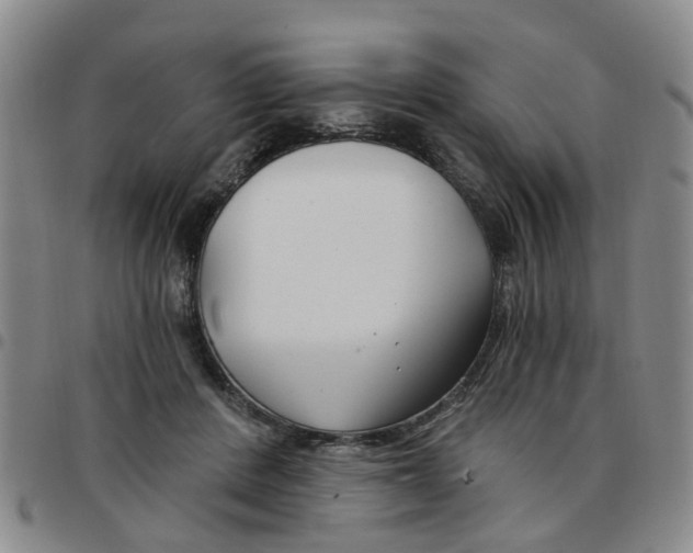 X0000097470408200803141917
