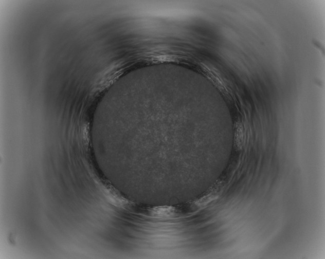 X0000097470410200803141917