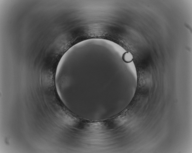 X0000097470411200803141917