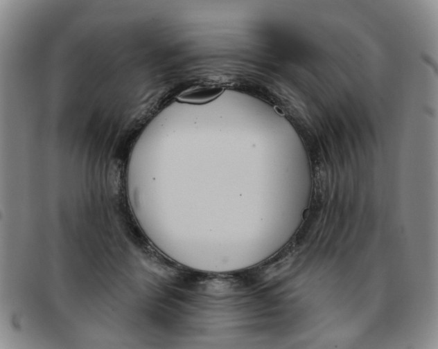 X0000097470412200803141917