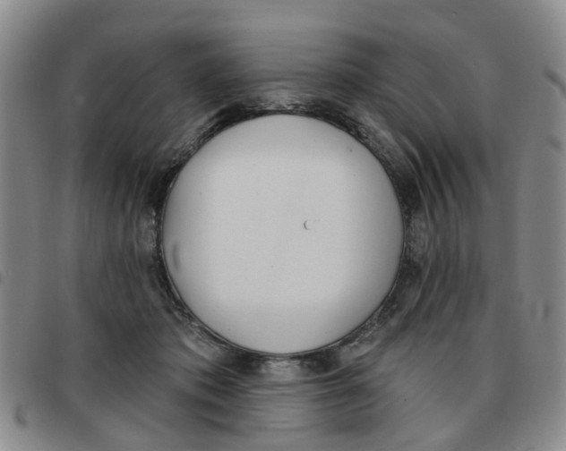X0000097470413200803141917