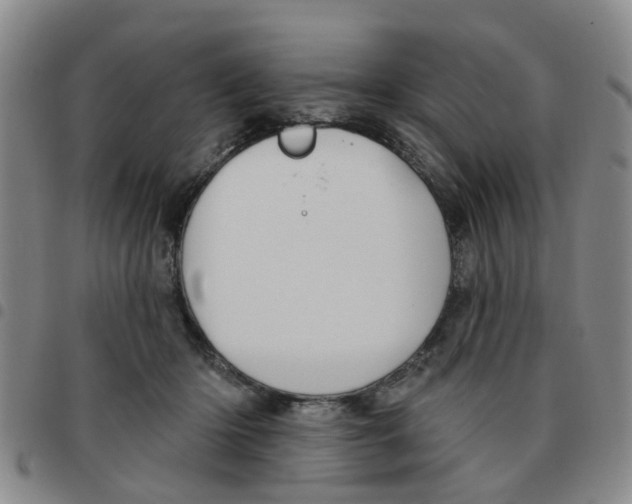 X0000097470414200803141917