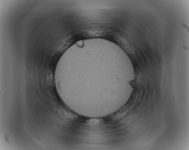 X0000097470418200803141917