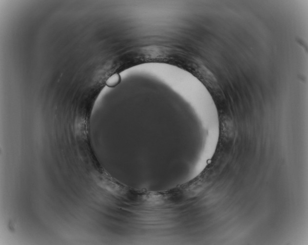 X0000097470419200803141917