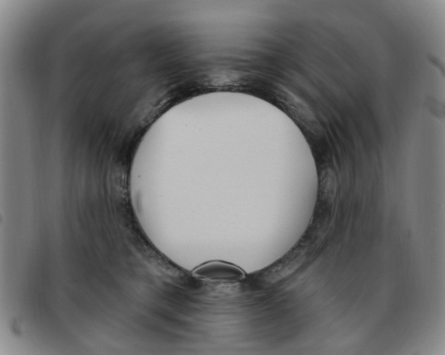 X0000097470421200803141917