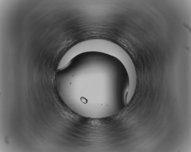 X0000097470423200803141917