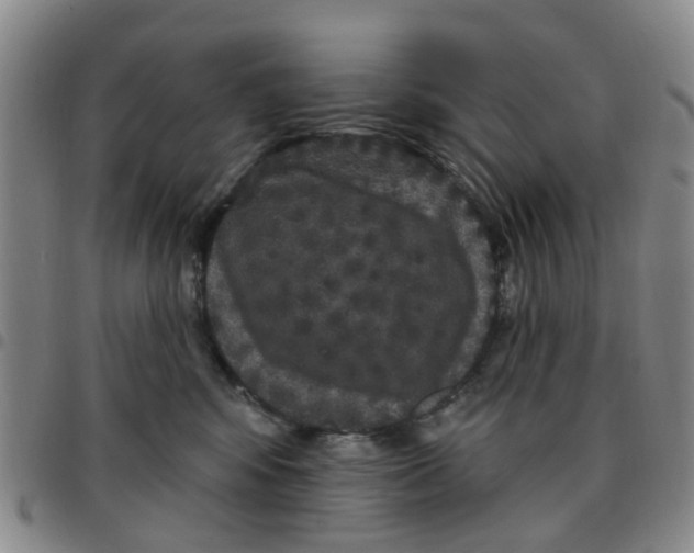 X0000097470424200803141917