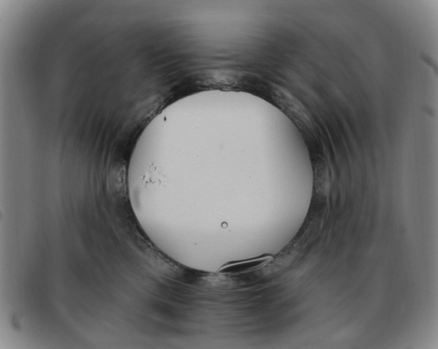 X0000097470425200803141917