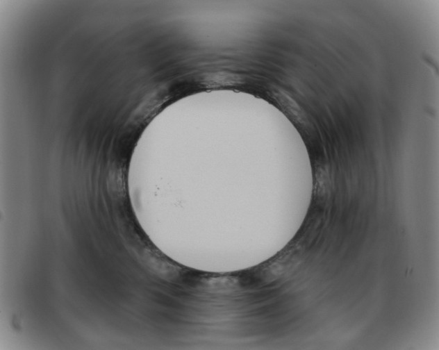 X0000097470426200803141917