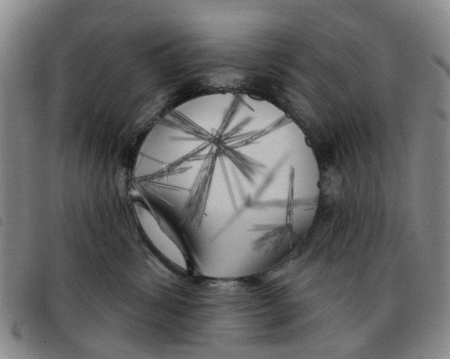 X0000097470428200803141917